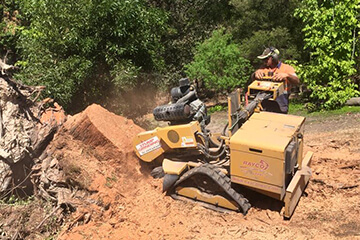 David Pace removing stumps using a stump grinding machine in the Yarra Ranges.