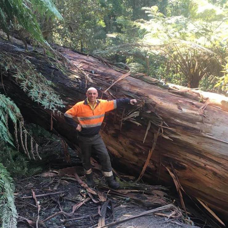 David Pace, owner and operator of Ranges Tree Services in the Yarra Valley.