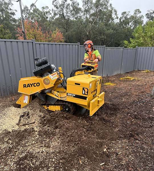 The ranges tree service crew using the top of the range stump grinder to remove stumps.