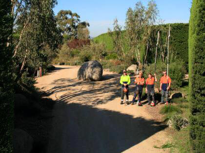 The team of tree loppers in Yarra Valley, after completing a large hedge trimming job.