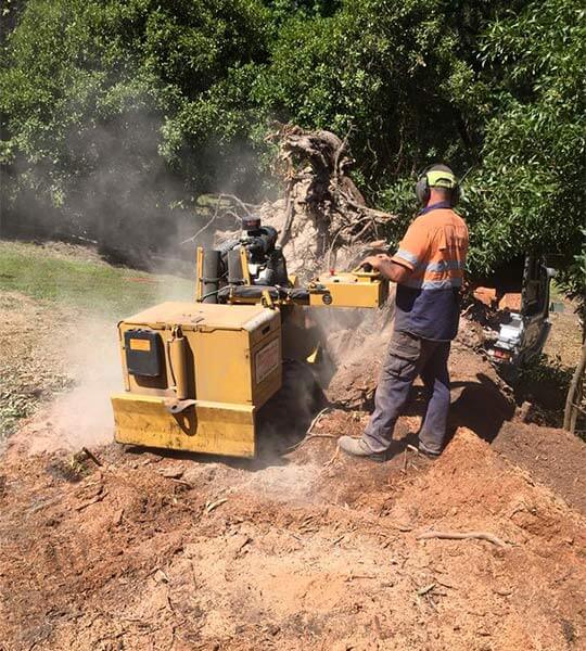 David at Ranges Tree Service completing tree stump grinding with his machine.